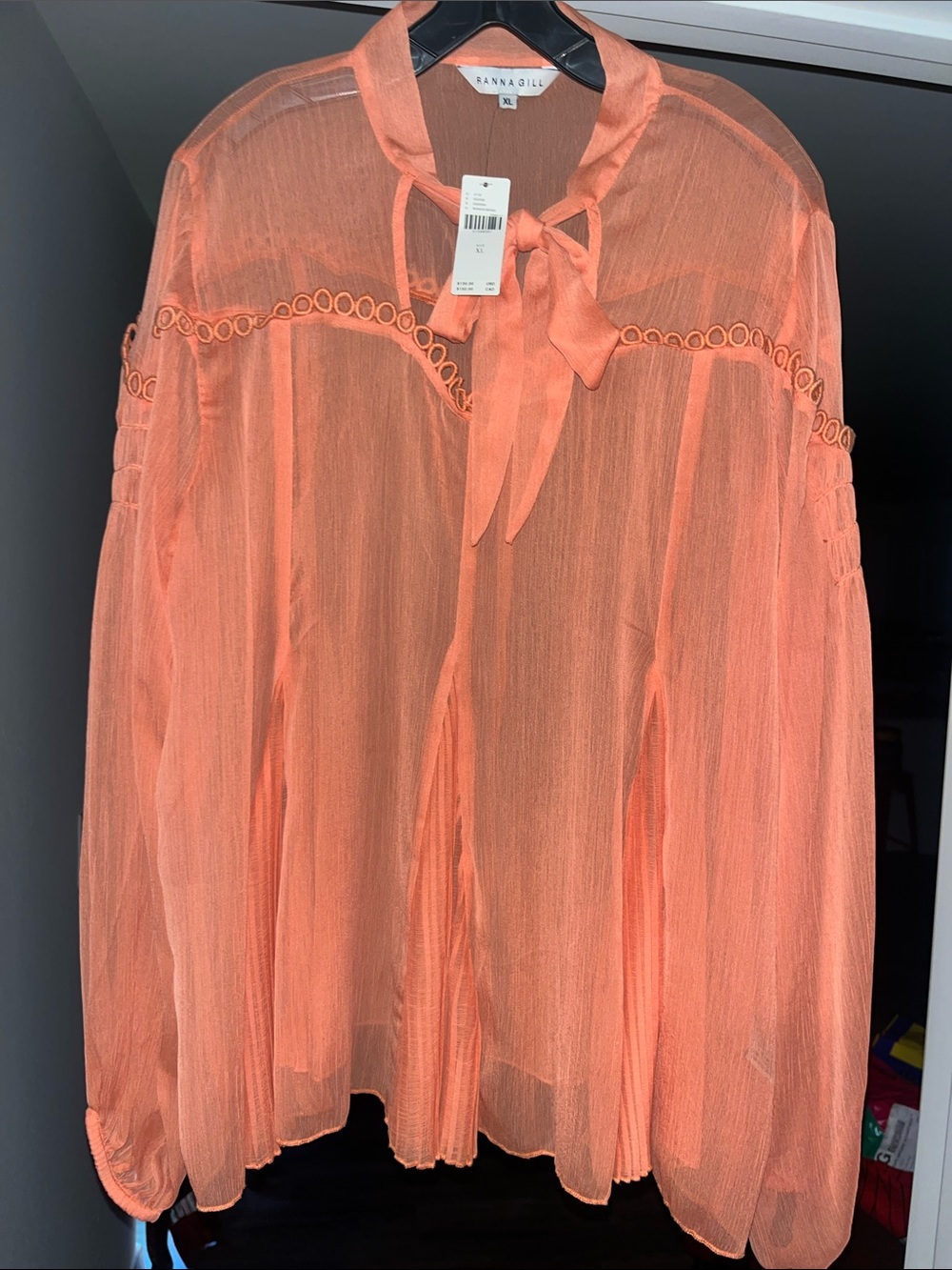 RANNAGILL Anthropologie Sheer Pleated Tue Top